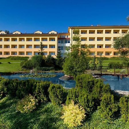 Violet Apartment Фримбурк Екстер'єр фото
